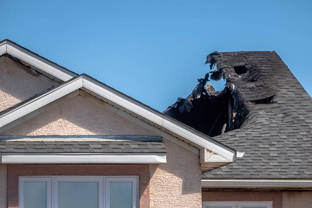 Top rated local Fire Damage Removal specialists in Excelsior, MN